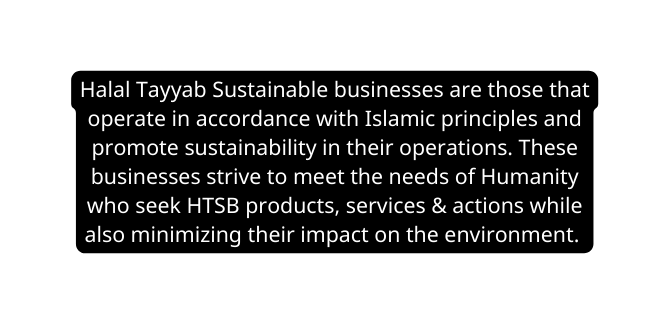 Halal Tayyab Sustainable businesses are those that operate in accordance with Islamic principles and promote sustainability in their operations These businesses strive to meet the needs of Humanity who seek HTSB products services actions while also minimizing their impact on the environment